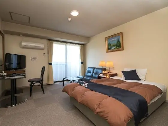 Deluxe Tek Kişilik Oda, Sigara İçilmez