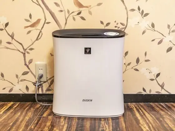 Deluxe Oda, Sigara İçilebilir
