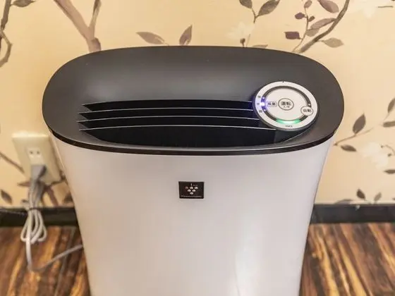 Deluxe Tek Kişilik Oda, Sigara İçilebilir