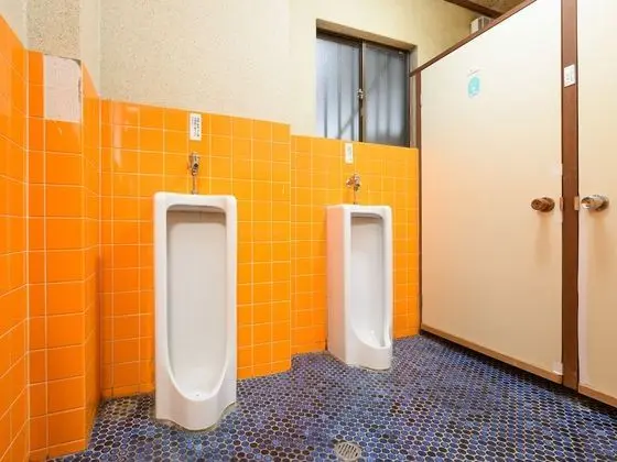 Traditional Oda, Sigara İçilmez, Ortak Banyo (with Shared Bathroom)