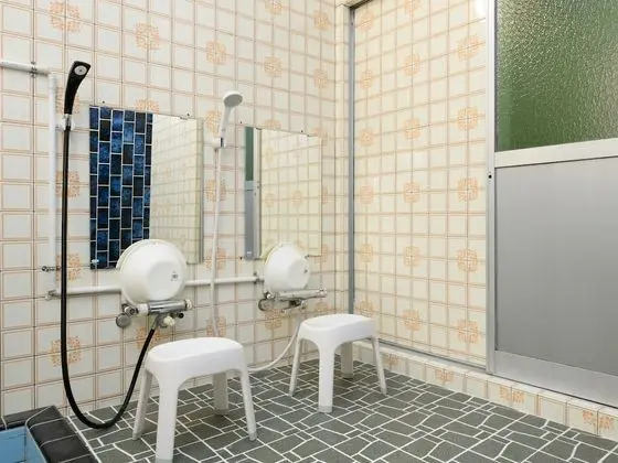 Traditional Oda, Sigara İçilmez, Ortak Banyo (with Shared Bathroom)