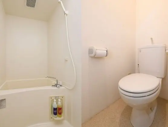 İki Ayrı Yataklı Oda, Sigara İçilmez (Compact)