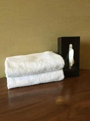 Traditional Dört Kişilik Oda, Sigara İçilmez (Japanese Style, up to 4 guests)