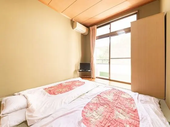 Traditional İki Ayrı Yataklı Oda, Sigara İçilmez, Ortak Banyo