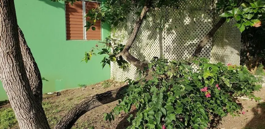 Stüdyo, Bahçe Manzaralı