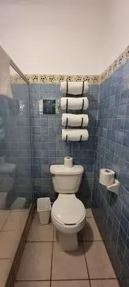 Standard Oda, 1 En Büyük (King) Boy Yatak, Bahçe Manzaralı