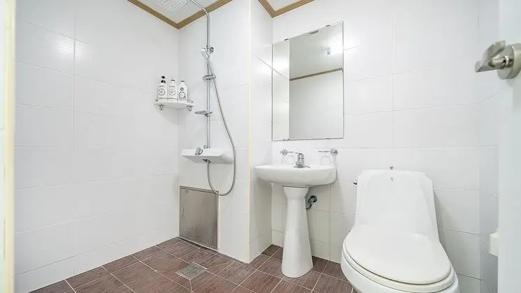 Basic Oda, 1 Yatak Odası (202ho)