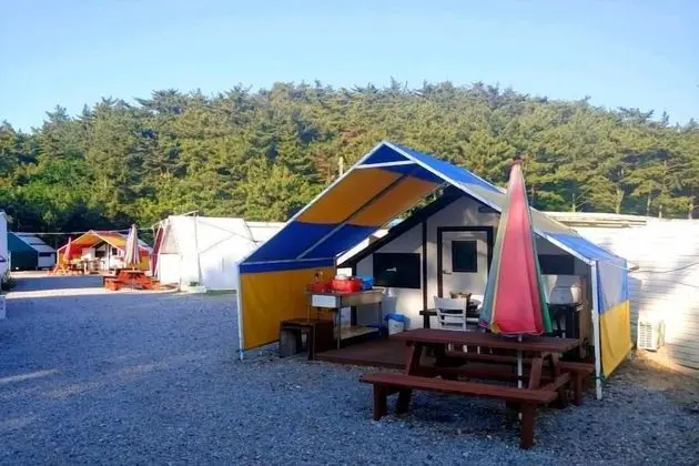 Basic Oda, 1 Yatak Odası (Glamping BlueYellow)