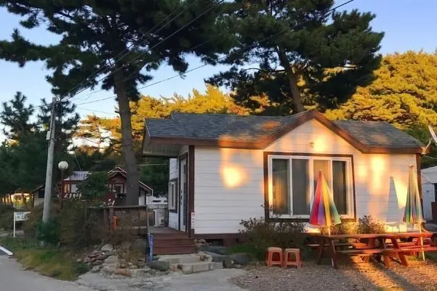 Basic Oda, 1 Yatak Odası (OneRoom)