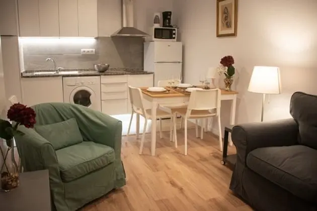 Apart Daire, 1 Yatak Odası