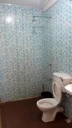 Süit