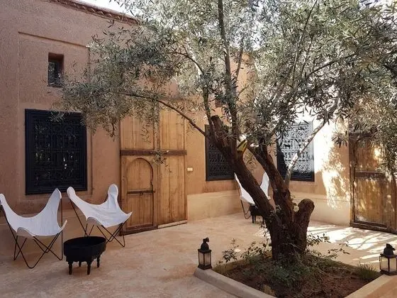 Superior Tek Büyük Yataklı Oda, 1 Büyük (Queen) Boy Yatak, Bahçe Manzaralı