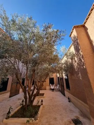 Superior Tek Büyük Yataklı Oda, 1 Büyük (Queen) Boy Yatak, Bahçe Manzaralı