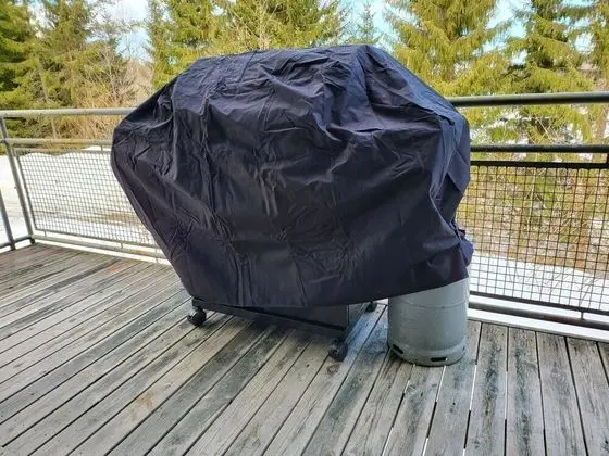 Ev