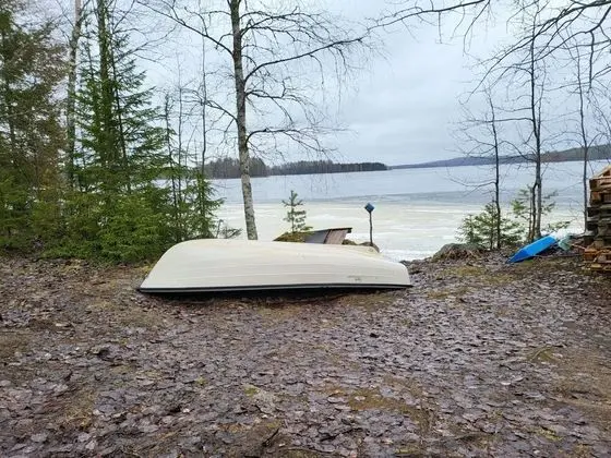 Ev