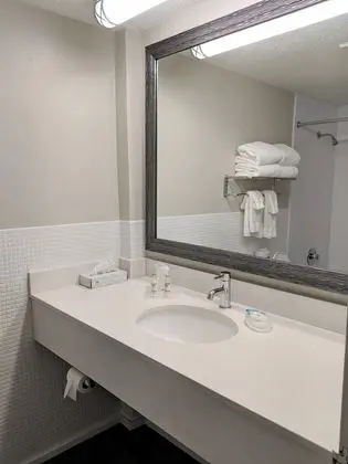 Oda, 2 Çift Kişilik Yatak, Avlu
