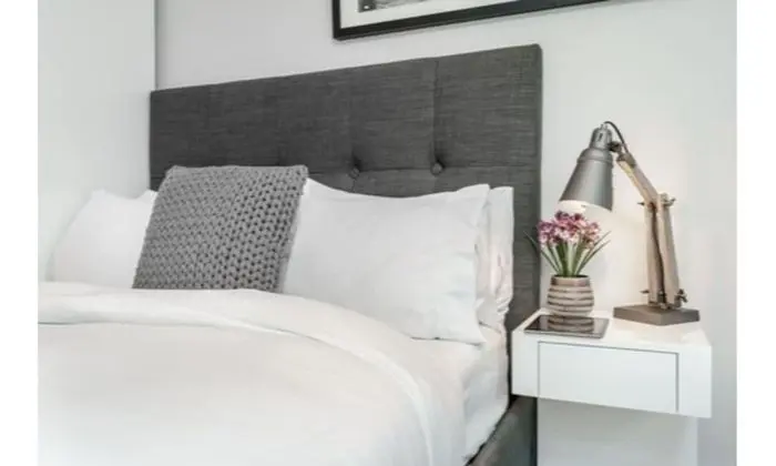 Executive Apart Daire, 1 Çift Kişilik Yatak, Sigara İçilmez
