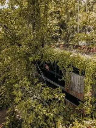 Taino Jungle Loft 2