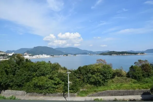 Traditional Oda (Japanese Style)