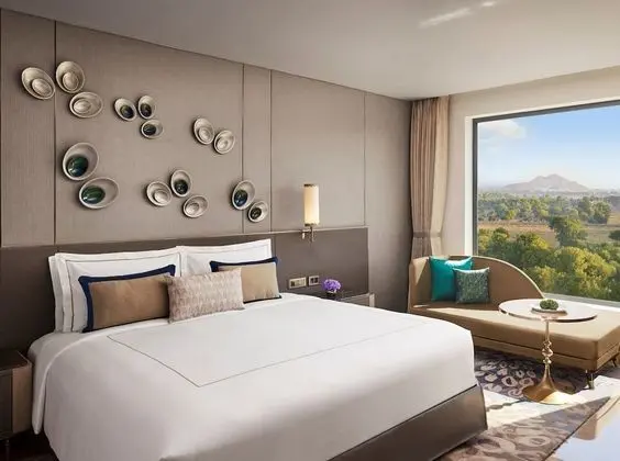 Luxury Oda, 1 En Büyük (King) Boy Yatak