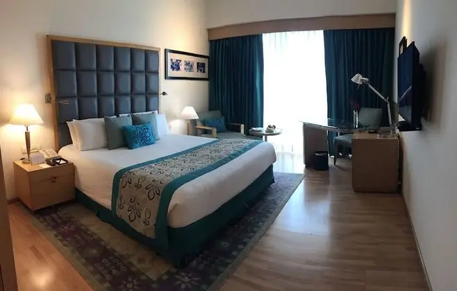 Superior Oda, 1 En Büyük (King) Boy Yatak, Bahçe Manzaralı
