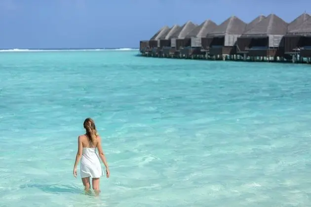 Deluxe Villa (Lagoon)