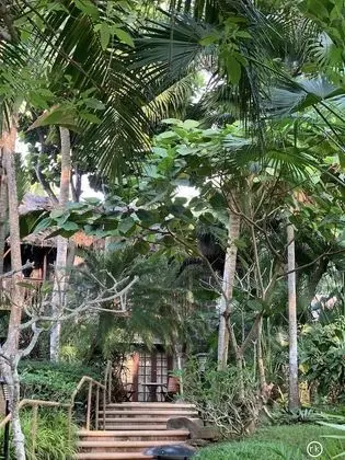 Superior Kır Evi, 1 En Büyük (King) Boy Yatak, Kısmi Deniz Manzaralı