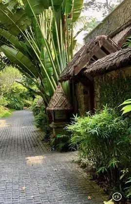 Superior Kır Evi, 2 Tek Kişilik Yatak, Bahçe Manzaralı