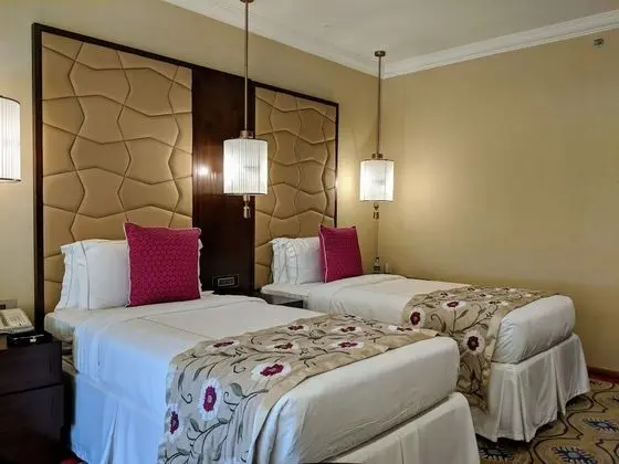 Deluxe Oda, 2 Tek Kişilik Yatak, Şehir Manzaralı