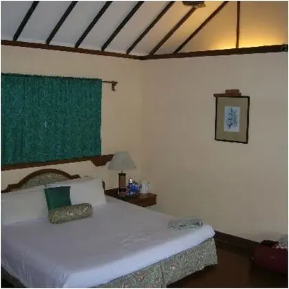 Oda, 1 En Büyük (King) Boy Yatak, Manzaralı (Heritage)