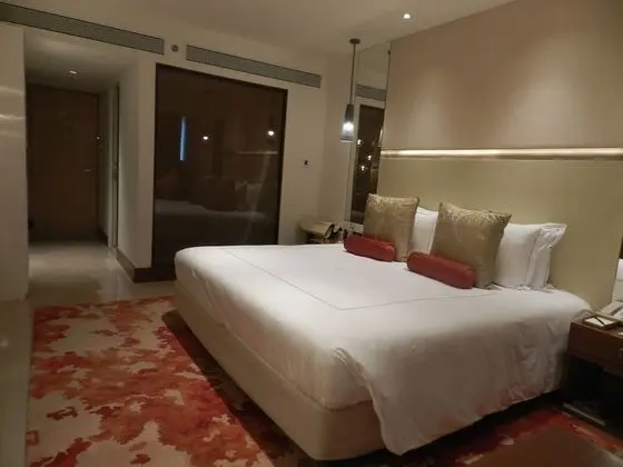 Superior Oda, 1 En Büyük (King) Boy Yatak, Şehir Manzaralı