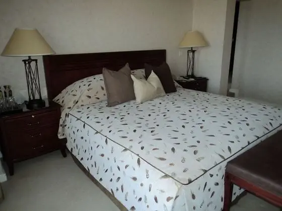 Deluxe Oda, 2 Tek Kişilik Yatak, Şehir Manzaralı