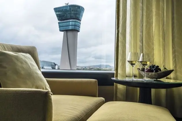 Luxury Oda, 1 En Büyük (King) Boy Yatak, Şehir Manzaralı