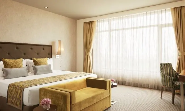 Deluxe Oda, 1 En Büyük (King) Boy Yatak, Şehir Manzaralı