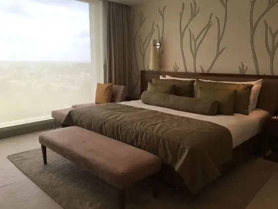 Deluxe Oda, 1 En Büyük (King) Boy Yatak, Şehir Manzaralı