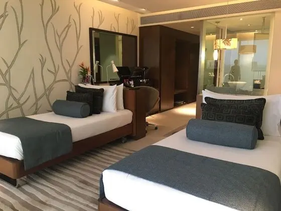 Superior Oda, 2 Tek Kişilik Yatak, Şehir Manzaralı