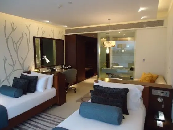 Superior Oda, 2 Tek Kişilik Yatak, Şehir Manzaralı