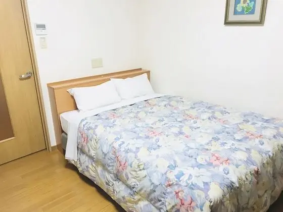 Basic Tek Büyük Yataklı Oda, Sigara İçilebilir (Basic Double Room, Smoking)