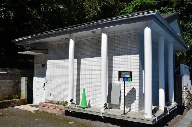 Deluxe Villa (201)