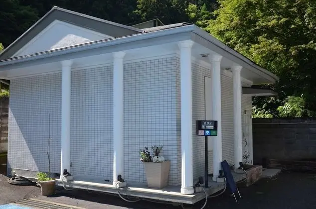 Deluxe Villa (202)