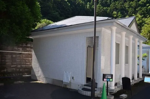 Deluxe Villa (203)