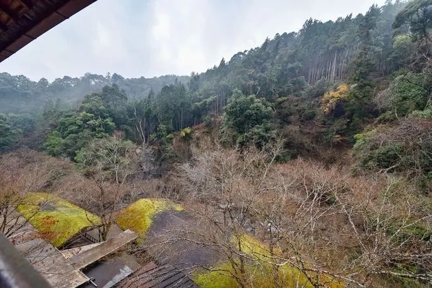 Traditional Üç Kişilik Oda (Japanese Style)