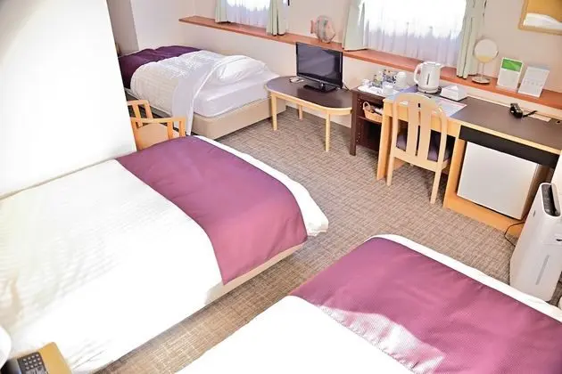Deluxe İki Ayrı Yataklı Oda, Sigara İçilebilir