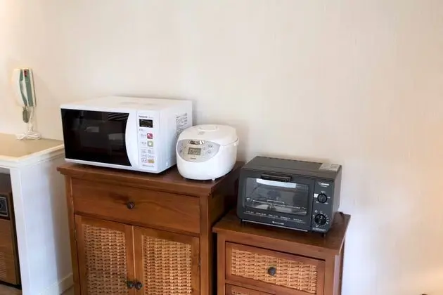 Kır Evi, Sigara İçilmez (Japanese Western Style, 86m², Laundry)