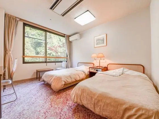 İki Ayrı Yataklı Oda, Sigara İçilebilir, Dağ Manzaralı