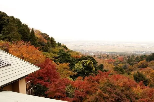Executive İki Ayrı Yataklı Oda, 2 Tek Kişilik Yatak (12.5 Tatami Mats, Open Air Bath)