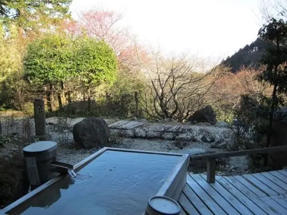 Traditional Süit, Teras (With Western Beds, Outside Bath)