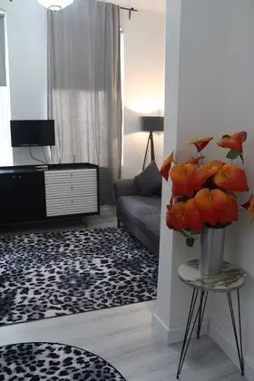 One Bedroom Apartment