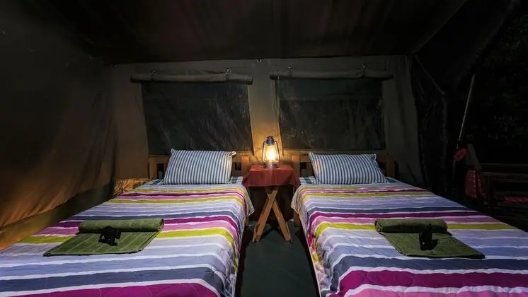 Comfort Çadır