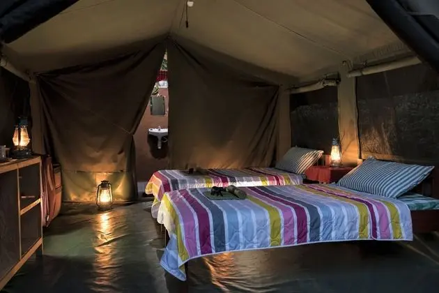 Comfort Çadır